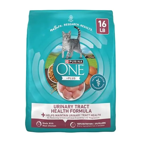 Purina ONE High Protein Urinary Tract Health dry cat food bag
