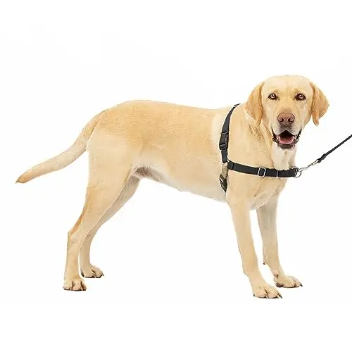 PetSafe black and silver no-pull dog harness with front leash attachment