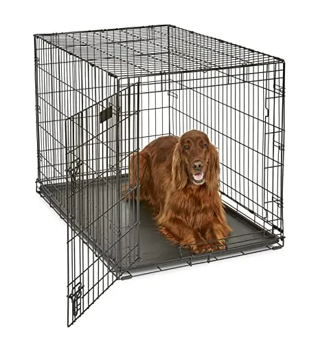 MidWest iCrate foldable dog crate for large breeds