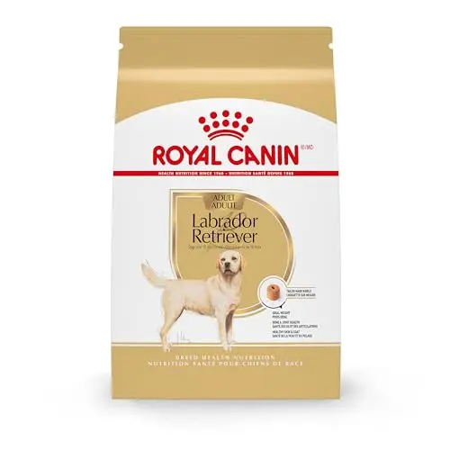 Royal Canin Labrador Retriever adult dry dog food bag