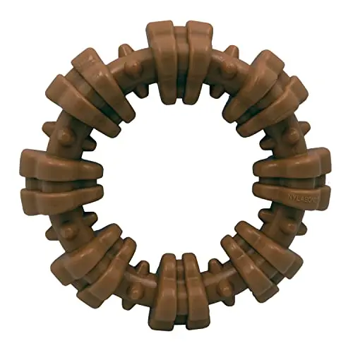 Nylabone textured ring dog chew toy for aggressive chewers