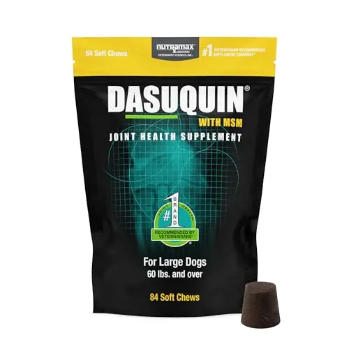 Dasuquin dog joint supplement soft chews