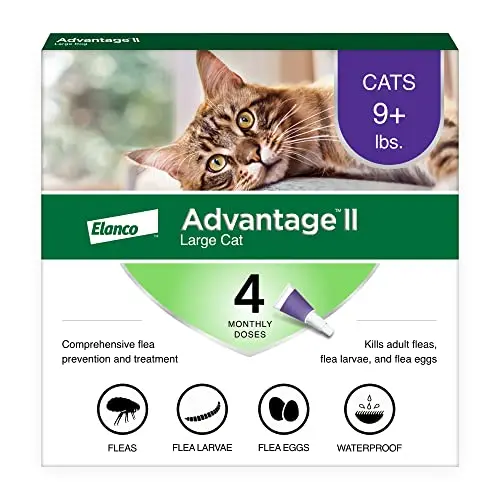 Advantage II flea treatment for large cats