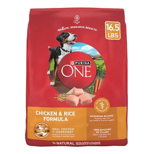 Purina ONE Chicken and Rice dry dog food bag