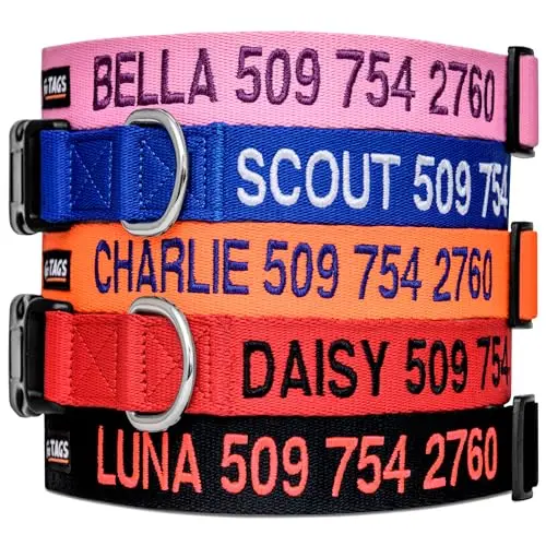 GoTags personalized dog collar with embroidered name and phone number