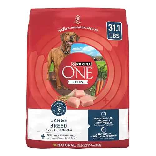 Purina ONE Plus Large Breed Adult dry dog food bag with chicken formula
