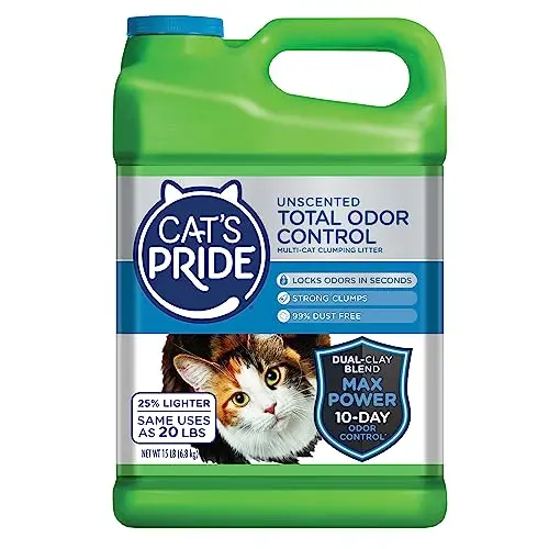 View of 5 Best Cat Litters for Odor Control and Dust-Free Homes 2025 - Tested ...