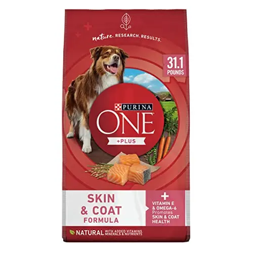 Purina ONE sensitive stomach and skin dog food with salmon