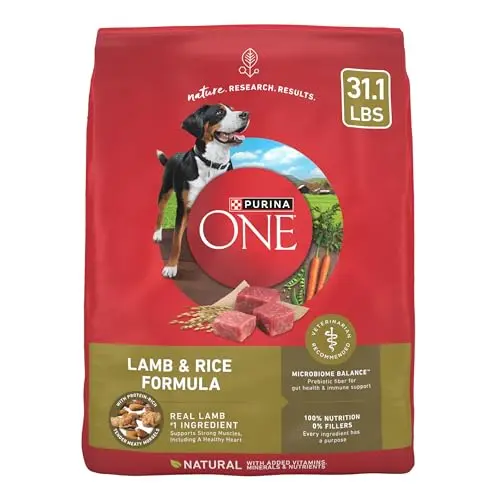 Purina ONE dry dog food bag with lamb and rice formula