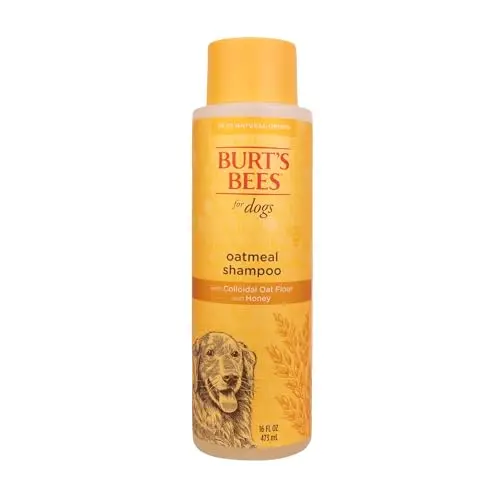Burt's Bees Oatmeal Dog Shampoo with honey formula