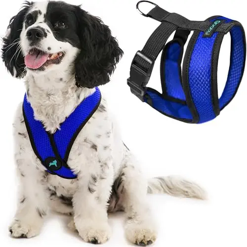 Gooby Comfort X head in dog harness with patented frame for small dogs