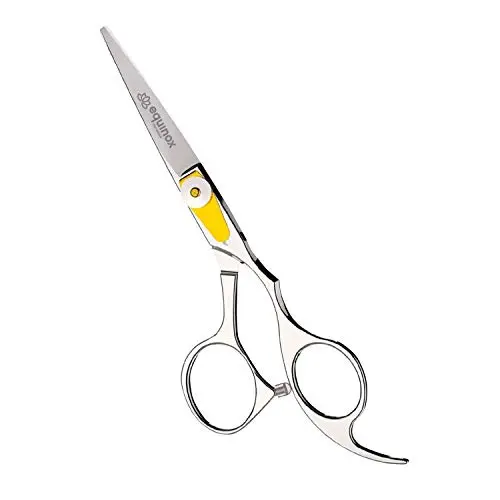 Equinox professional hair cutting scissors with silver finish