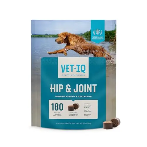 VetIQ dog joint supplement soft chews