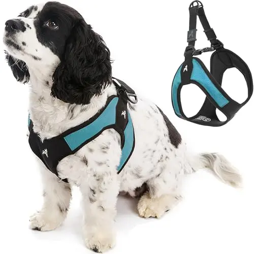 Gooby Escape Free easy fit step in dog harness for small dogs