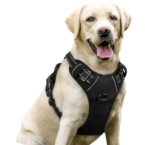 Rabbitgoo no-pull dog harness in black with reflective strips