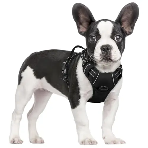 Rabbitgoo no pull dog harness with dual leash clips for small dogs