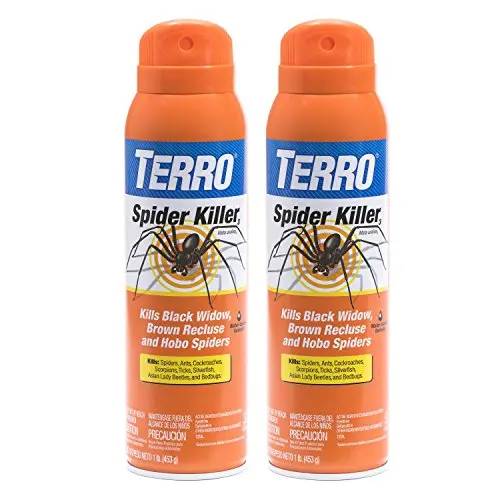 Best Spider Killer Spray For Indoors 2025 Reviews