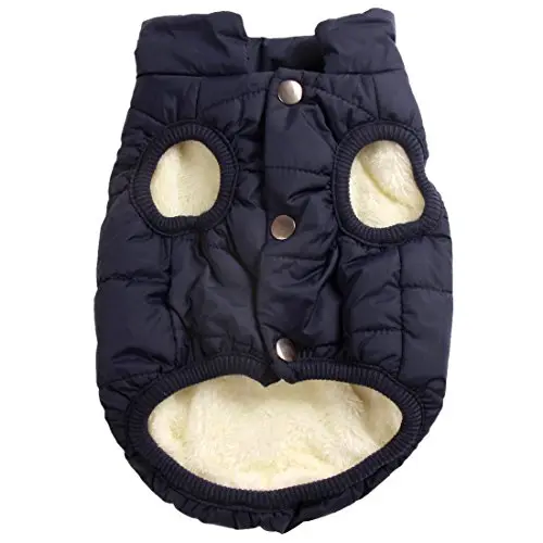JoyDaog fleece-lined dog jacket in blue color