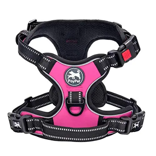 PoyPet no pull dog harness with elastic belly straps for small dogs