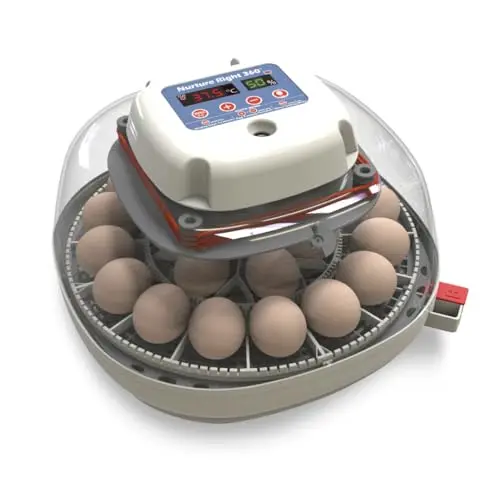 Harris Farms Nurture Right incubator with clear window and automatic turner