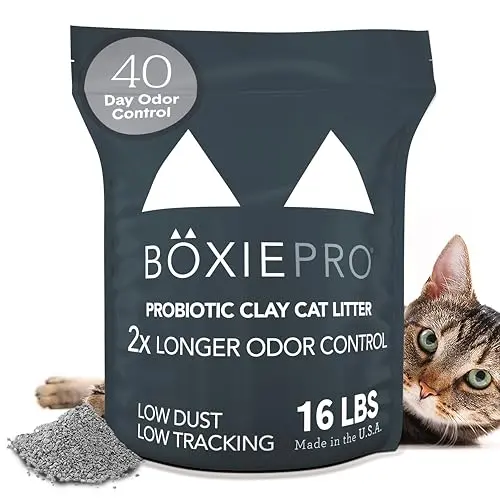 Best Cat Litter for Odor Control - 2025 Reviews - Eye And Pen