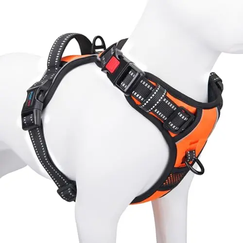 PHOEPET no-pull dog harness in orange with front and back clips