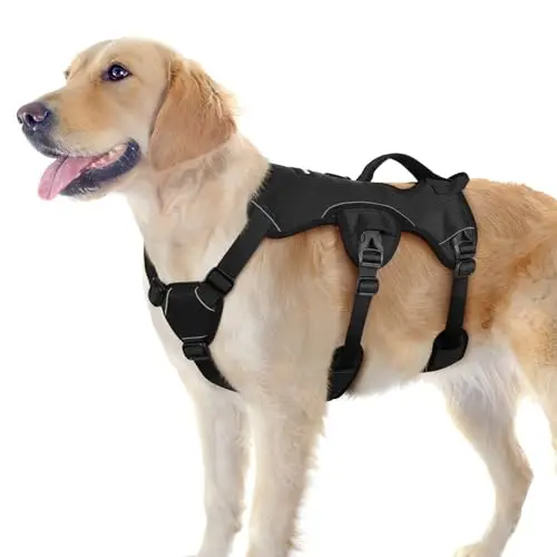Rabbitgoo black escape-proof dog harness with five adjustment points and lift handle