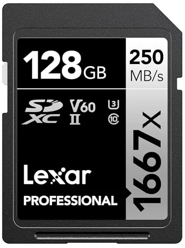 Lexar Professional 1667x SD card for photography