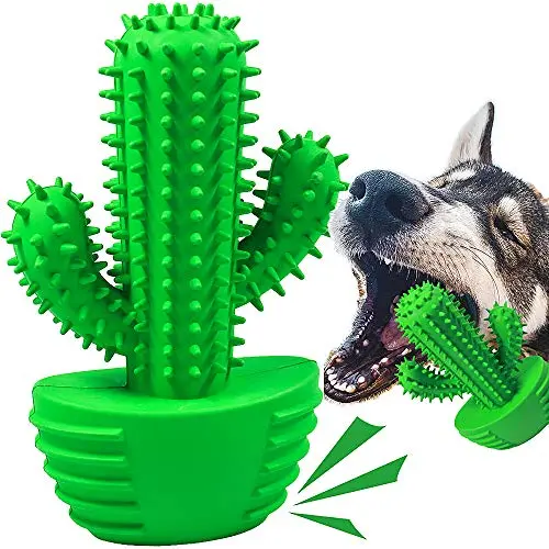 Pamlulu green dog toothbrush chew toy