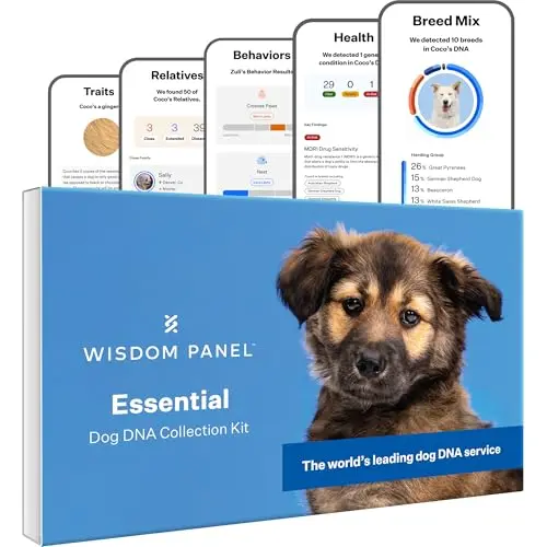 Wisdom Panel Essential dog DNA test kit with swab and packaging