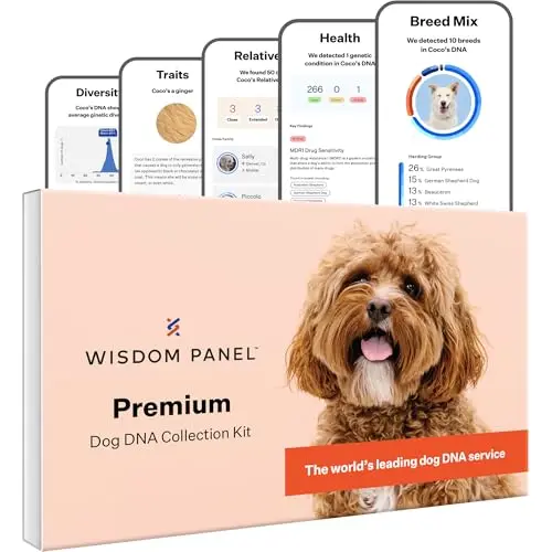 Wisdom Panel Premium dog DNA test kit with comprehensive health screening