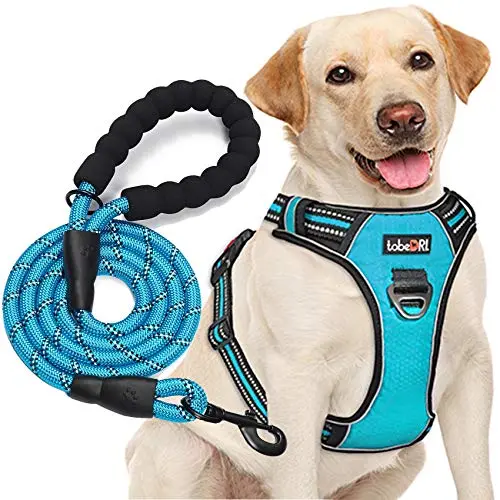 tobeDRI no-pull dog harness in blue with included leash