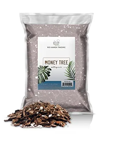 Rio Hamza Trading Money Tree Soil mix with natural ingredients