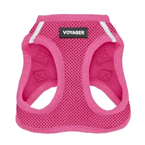 Best Pet Supplies Voyager step-in air mesh dog harness for small dogs