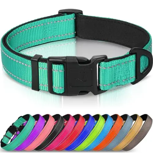 Joytale teal reflective dog collar with neoprene padding for large dogs
