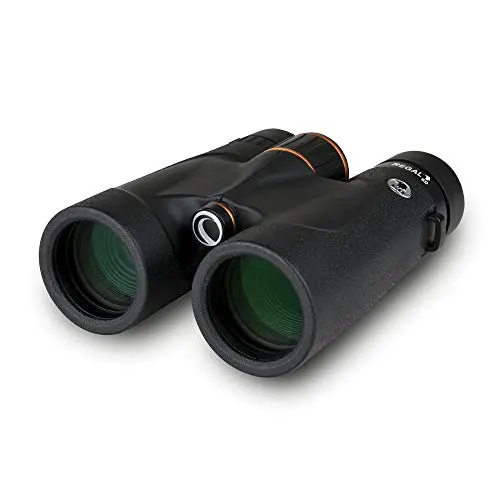 Celestron Regal ED 8x42 binoculars with premium ED glass optics
