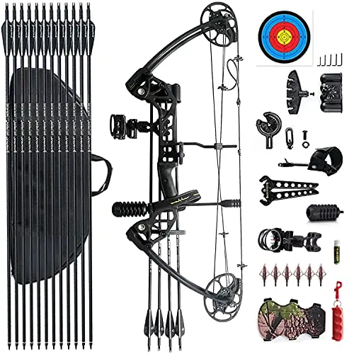 Pandarus L1 compound bow in black pro bag set