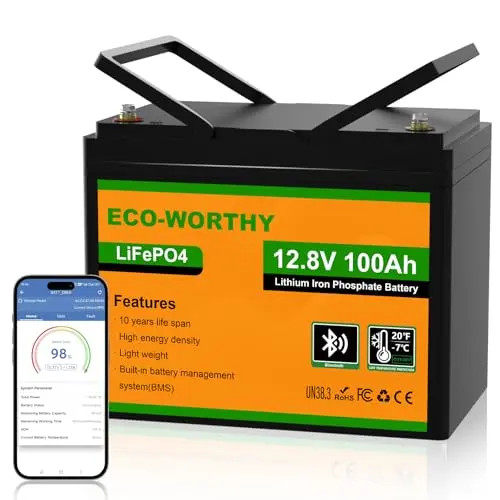 ECO-WORTHY 12V 100Ah LiFePO4 battery with Bluetooth