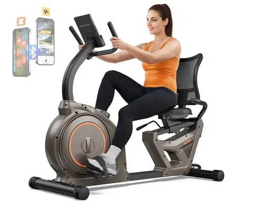 Niceday recumbent exercise bike with padded seat and backrest