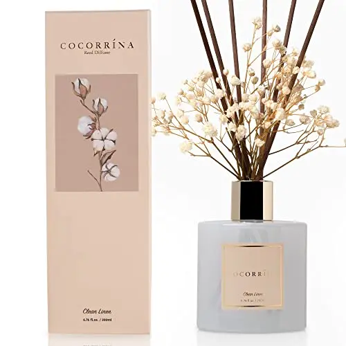 Cocorrína Reed Diffuser set in gold bottle with Clean Linen scent