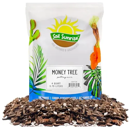 Soil Sunrise Money Tree Soil mix with horticultural charcoal