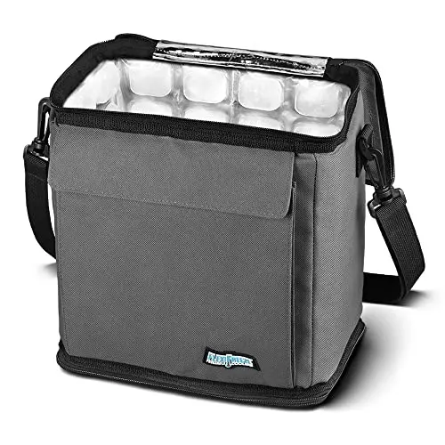 FlexiFreeze refreezable collapsible cooler in charcoal color