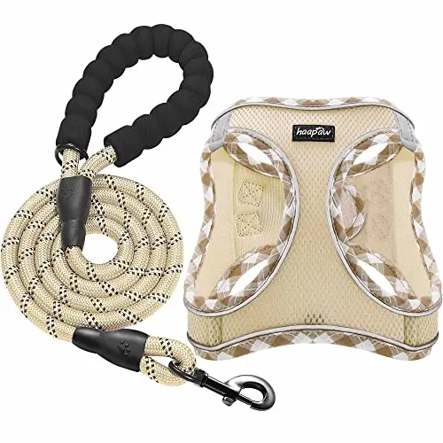 Haapaw dog harness and leash set with reflective padding for small dogs