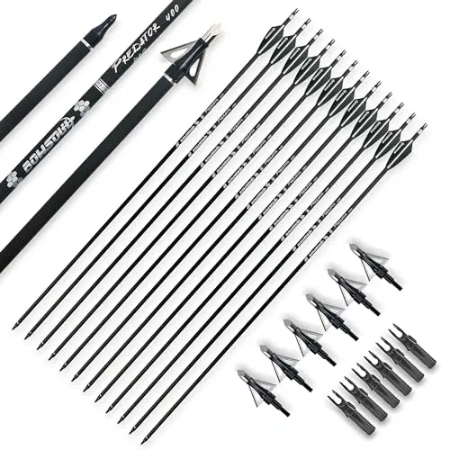 BOWSOUL carbon arrows with black and white vanes and broadheads