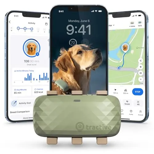 Tractive XL GPS tracker attached to a large dog collar