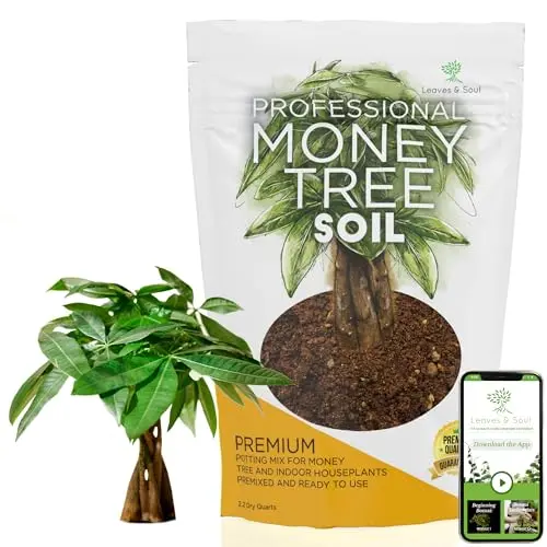 Leaves and Soul Money Tree Soil professional mix in resealable bag