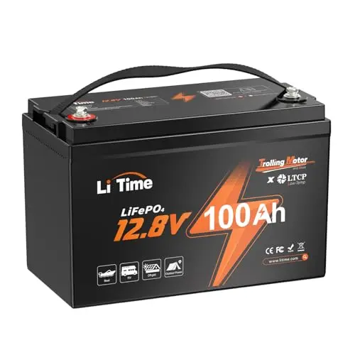 LiTime 12V 100Ah LiFePO4 battery with triple protection BMS