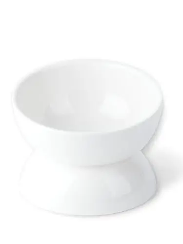 ABRUTY ceramic elevated cat bowl with tilted angle and wide design