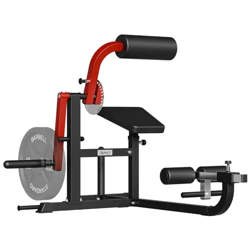 GMWD 2-in-1 ab and back machine for home gym