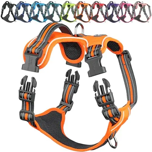 VIVAGLORY no-pull dog harness in orange with front and back clips